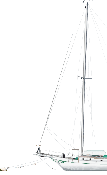 Shape
